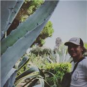 Clases particulares en materias científicas y lenguas extranjeras